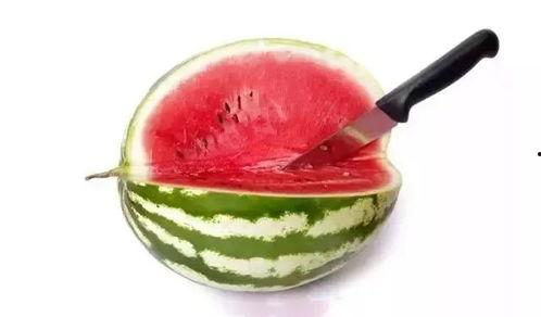 吃瓜群众什么级别最高,揭秘吃瓜群众最高级别之谜