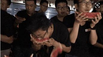 吃瓜群众第二集,揭秘娱乐圈背后的真相与风波