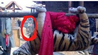 水浒传穿帮镜头吃瓜群众,吃瓜群众揭秘经典名著背后的尴尬瞬间