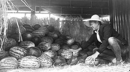 鹰潭吃瓜群众事件真相揭秘,真相大白，揭秘背后真相