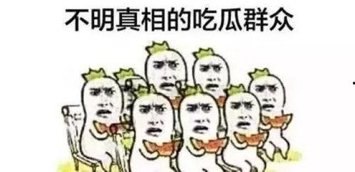 吃瓜群众恒大,吃瓜群众视角下的地产巨头风云录