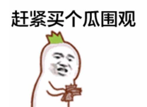 吃瓜群众小阿慧,揭秘娱乐圈那些事儿