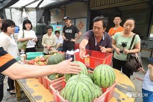 奶油胶吃瓜群众,吃瓜群众的甜蜜瓜田之旅
