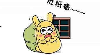 吃瓜群众0677,网络红人的崛起之路