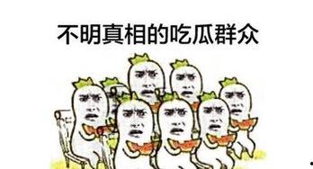 吃瓜群众科普一下